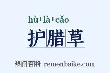 护腊草是什么意思的图片